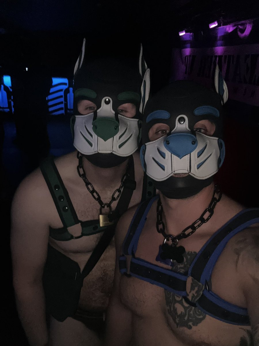 Some of my bestest boys 🐶🐶🐶🐶  <a href="/Dashpupnz/">Dash</a> <a href="/pup_crashNZ/">Pup Crash</a> <a href="/sinthepup/">Sin the pup</a>  #pup #pupnz #gaypup #puppack