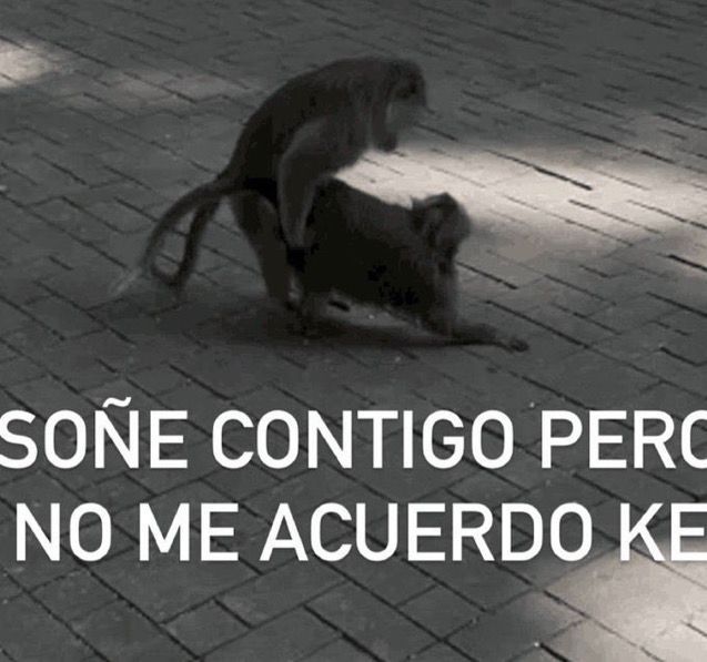 Memakker (@memakker) on Twitter photo 