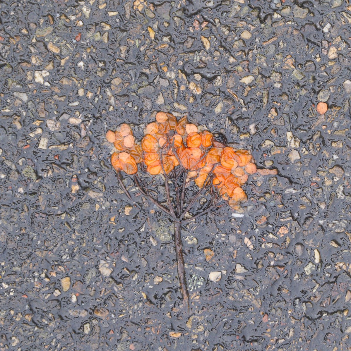 Groeten uit Oss 📷 🇺🇦 tweet media