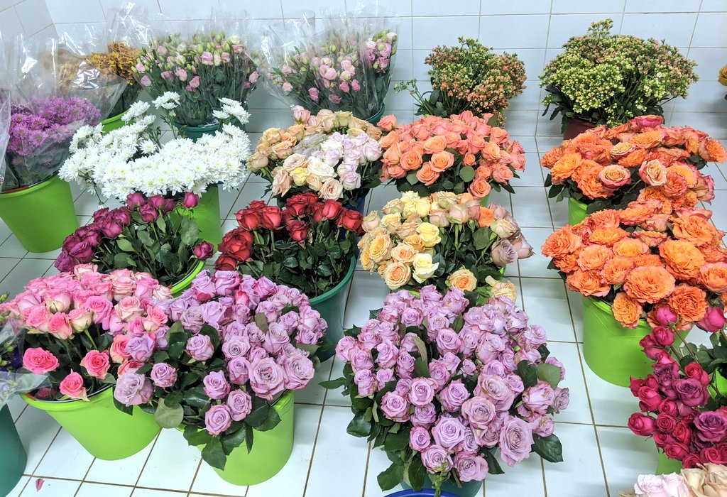 Nous avons prévu dans les moindres détails tout ce qu'il faut pour que votre semaine soit florissante ❤️

Nous livrons vos émotions sous une note florale. +228 99216512
#fleur #bouquet #Tgtwittos