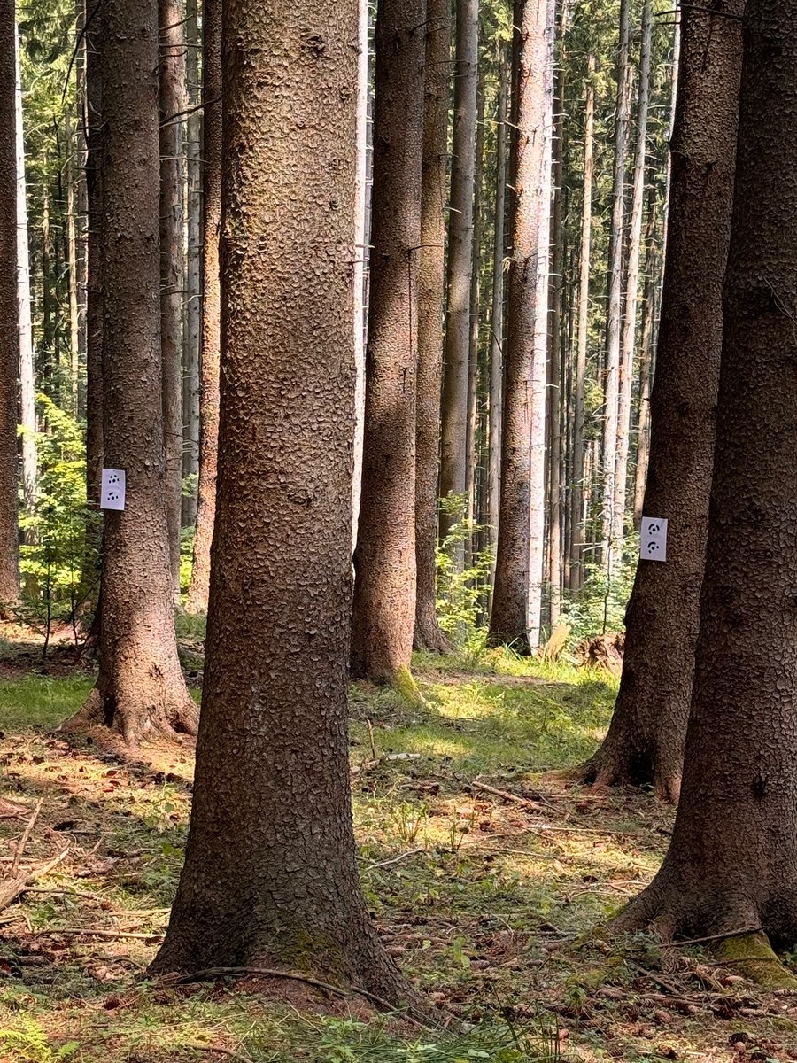 Small4Good tweet media