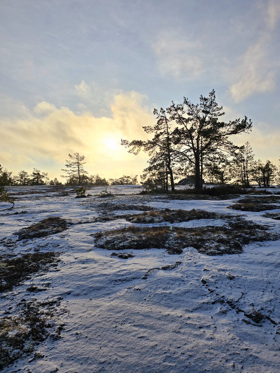Lekker een frisse neus halen.....