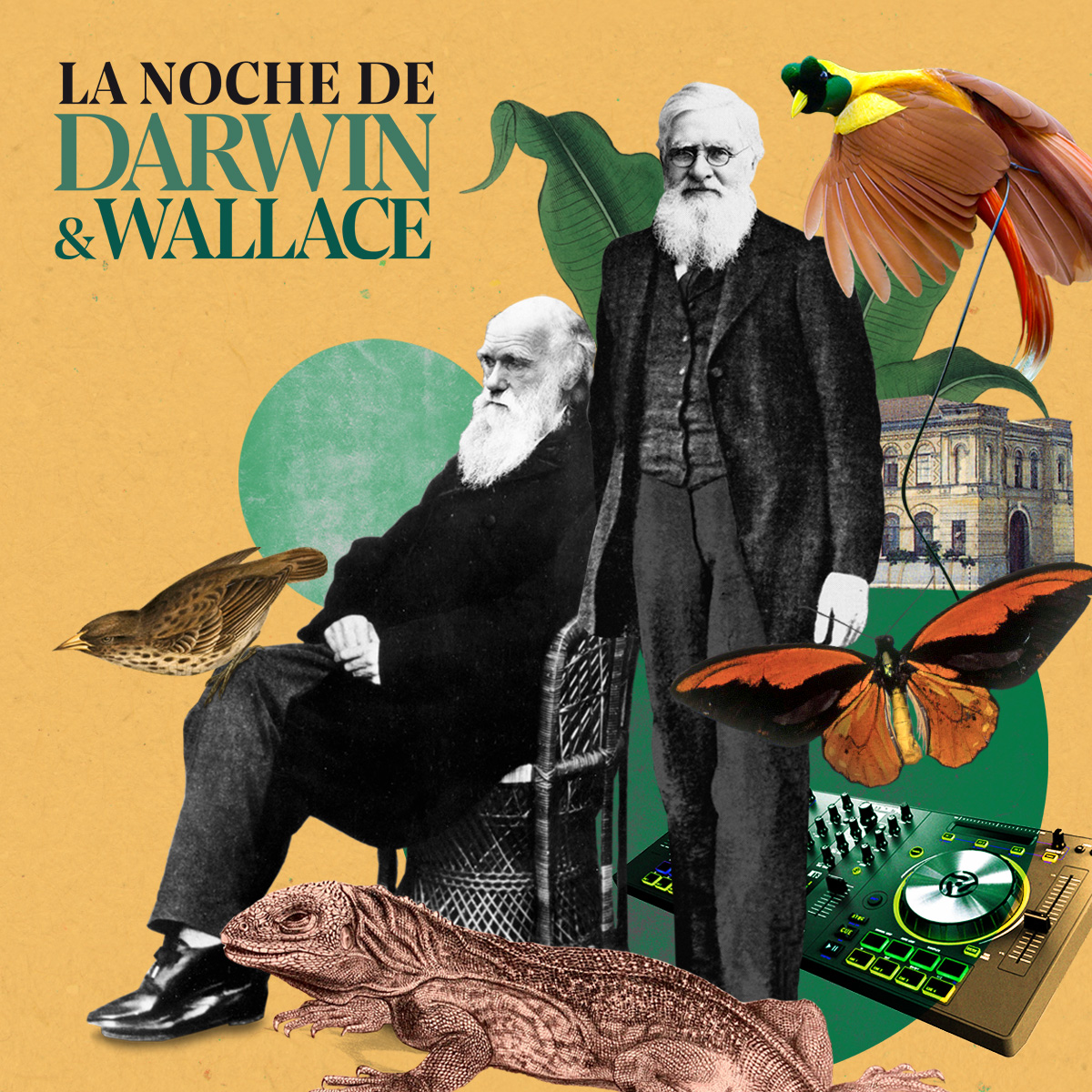 Xiomara Cantera (@xiomara_cantera) on Twitter photo ¿Sin planes para este sábado? Pues si estás en Madrid no te puedes perder La noche de Darwin y Wallace que celebran en el <a href="/mncn_csic/">Museo Nacional de Ciencias Naturales</a> Un ejemplo de que ciencia y diversión no están reñidos mncn.csic.es/es/Comunicació… ¿Sin planes para este sábado? Pues si estás en Madrid no te puedes perder La noche de Darwin y Wallace que celebran en el <a href="/mncn_csic/">Museo Nacional de Ciencias Naturales</a> Un ejemplo de que ciencia y diversión no están reñidos mncn.csic.es/es/Comunicació…