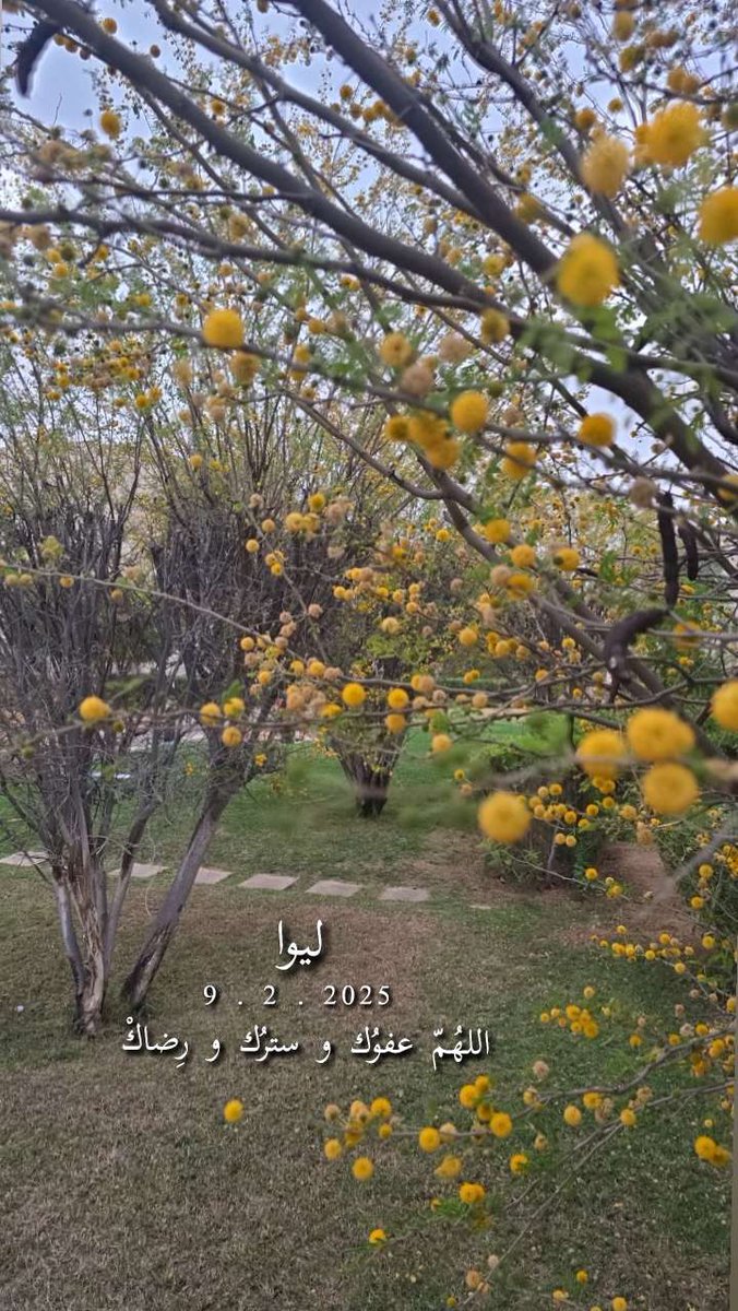 نواف سرحان الزعابي tweet media