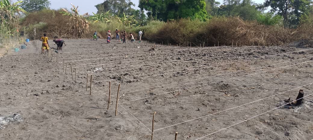 ONGACRED's tweet photo. Appui en cash inconditionnel aux communautés vulnérables de la sous-préfecture de Obo, dans le cadre de la mise en œuvre des activités d’un projet d’urgence en partenariat avec le Fonds humanitaire. Formation des groupements maraîchers sur la conduite des cultures maraîchères. https://t.co/r2N86Lps1o