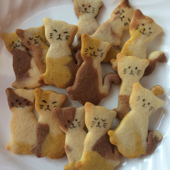 Cat cookies