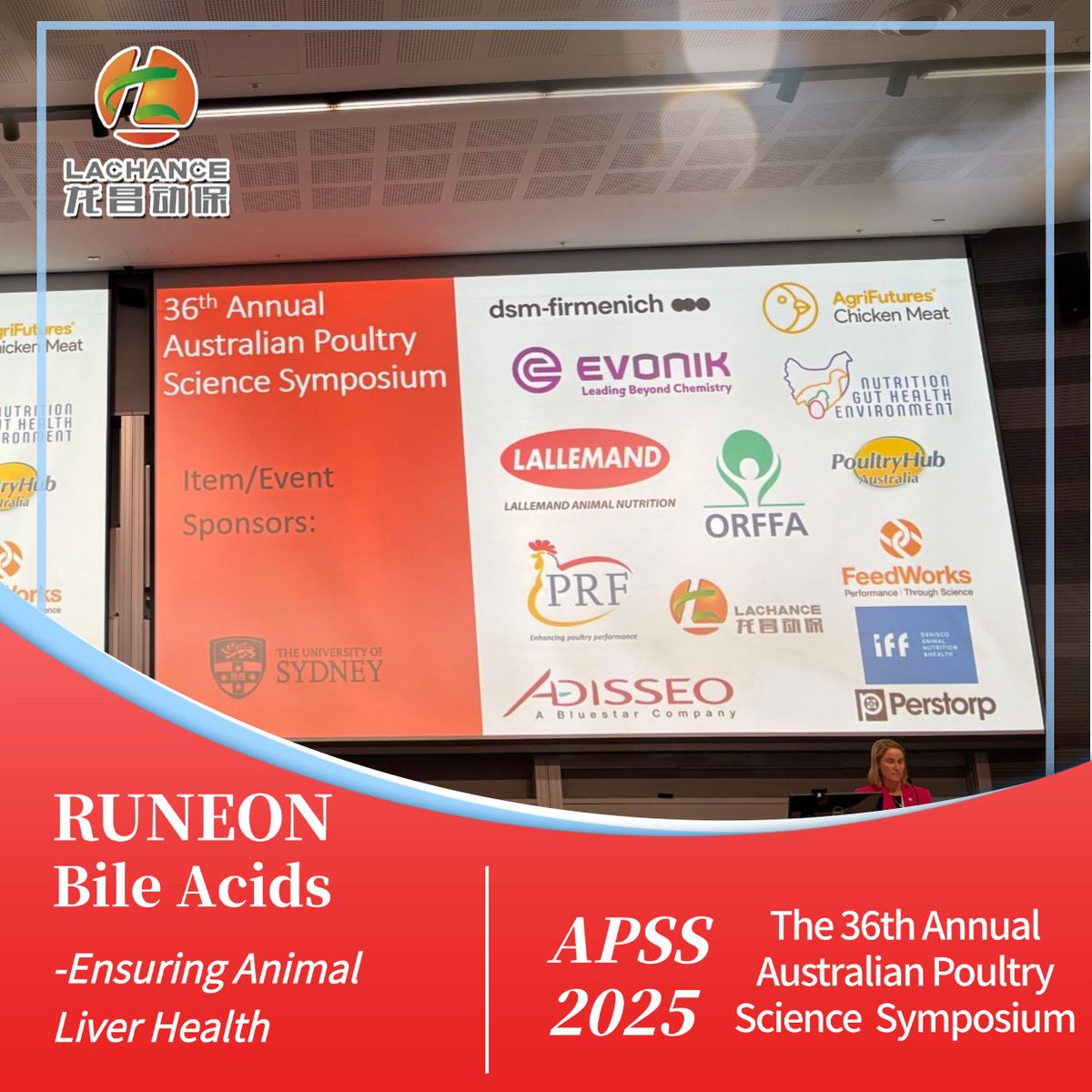 NancyYa21523346's tweet image. Lachance Group Sponsors APSS 2025, and shares the bile acids research poster with Shandong Agricultural University &amp;lt;Bile acids improve growth performance of broilers fed a low level of aflatoxin b1 – contaminated diet &amp;gt;
Welcome to further communication
#bileacids #APSS2025