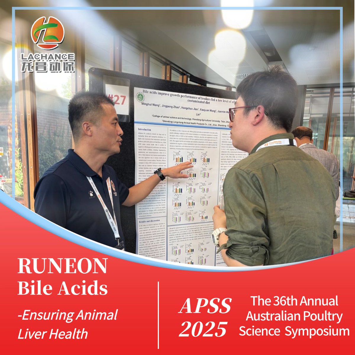 NancyYa21523346's tweet image. Lachance Group Sponsors APSS 2025, and shares the bile acids research poster with Shandong Agricultural University &amp;lt;Bile acids improve growth performance of broilers fed a low level of aflatoxin b1 – contaminated diet &amp;gt;
Welcome to further communication
#bileacids #APSS2025