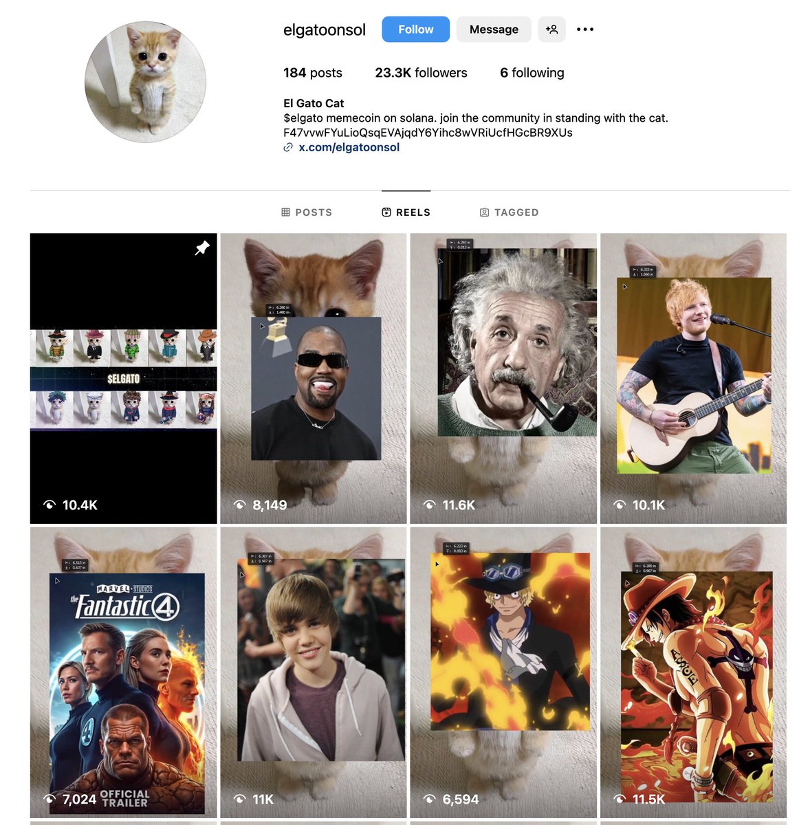 el gato (the standing cat) tweet media