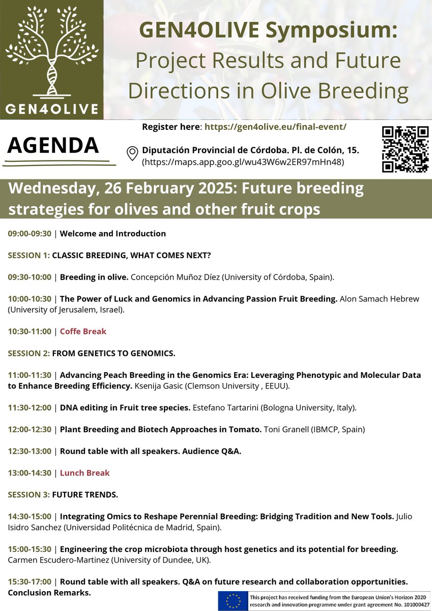 Gen4Olive's tweet photo. 🌿 #GEN4OLIVE Final Symposium – Full Agenda! 🌿

📅 Feb 25-26, 2025 | 📍 Córdoba, Spain

💡 What’s coming?
🔬 Day 1: GEN4OLIVE results, AI tools &amp; SME innovations.
🧬 Day 2: Olive &amp; crop breeding, AI &amp; genomics, sustainability panels.

🔗 Register now! → https://t.co/1FJl8B1nq7 https://t.co/x9pjvH5KYl