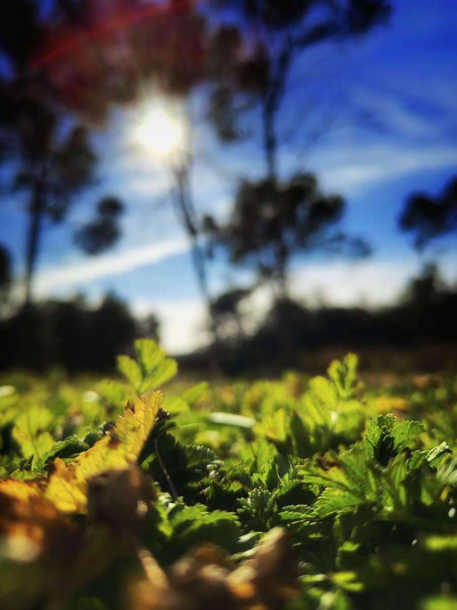 ruudhesp's tweet image. Lunes de fotos con #nothingphone2 
Editadas con #snapseed 

#nothing #lunesdefotos 📷