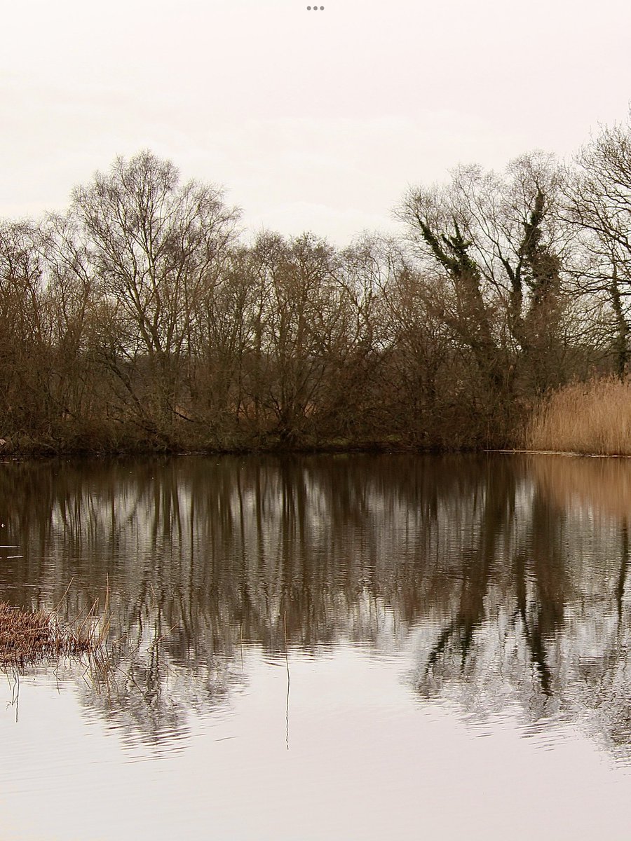 janepursey's tweet photo. Reflections on a grey miserable dull dark dismal day #HamWall #SomersetLevels https://t.co/xWStYVtrK3