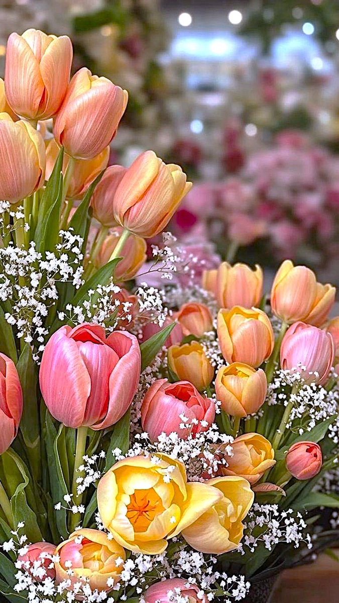 👉Robert👈 〰️#EliFriends〰️ tweet media