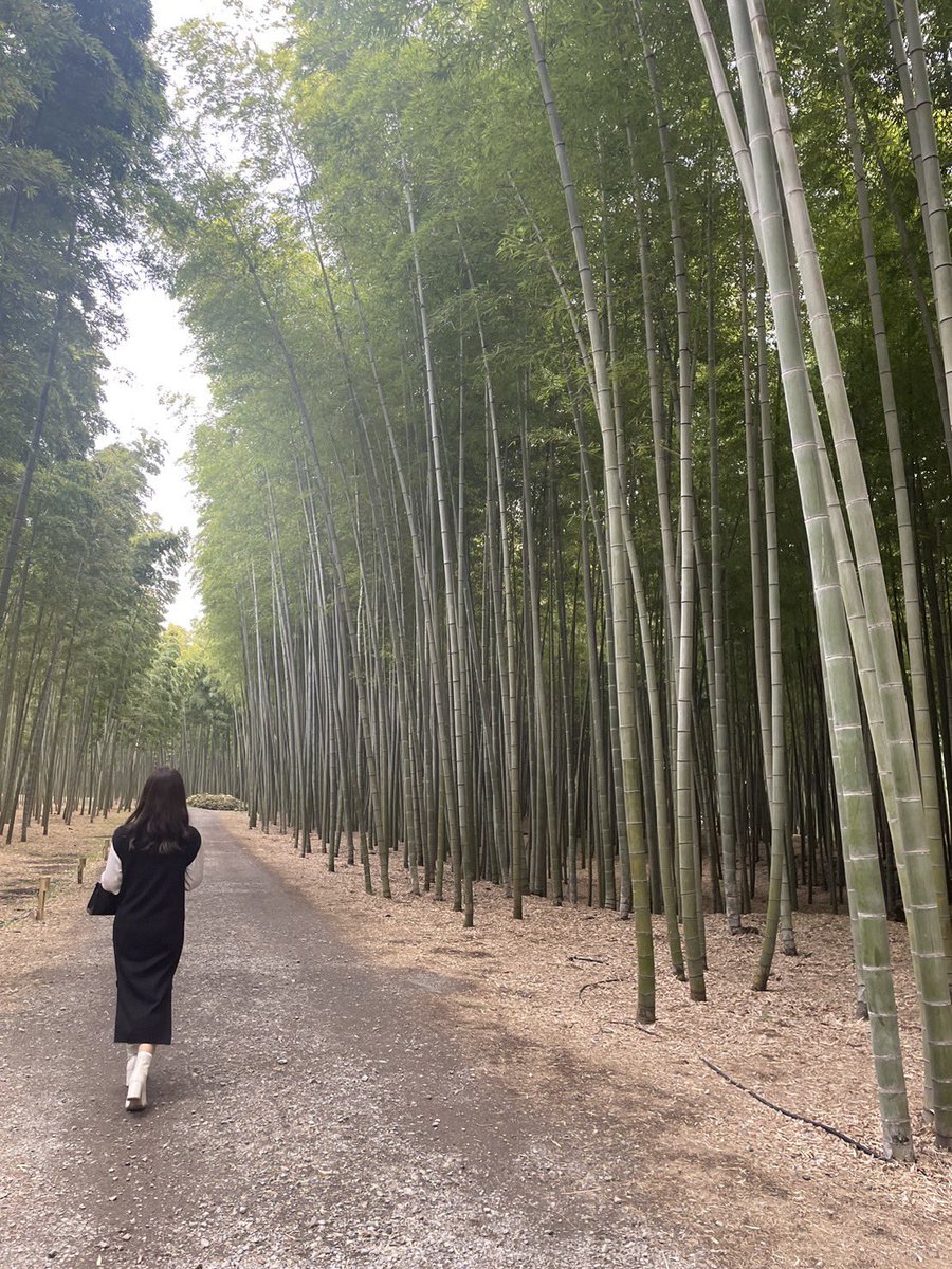 chiigd0325's tweet photo. ㅤㅤㅤㅤㅤㅤㅤㅤㅤㅤㅤㅤㅤ
私のInstagramでフリマ開催してます🉐
ㅤㅤㅤㅤㅤㅤㅤㅤㅤㅤㅤㅤㅤ
¥500 - ¥1,000 （ほぼワンコイン）
お得すぎるのでぜひ寄ってみてね ♡

アカウント
【 タカチイ @0325_tkmn 】
ㅤㅤㅤㅤㅤㅤㅤㅤㅤㅤㅤㅤㅤ
ㅤㅤㅤㅤㅤㅤㅤㅤㅤㅤㅤㅤㅤ https://t.co/8zK3qhAS05