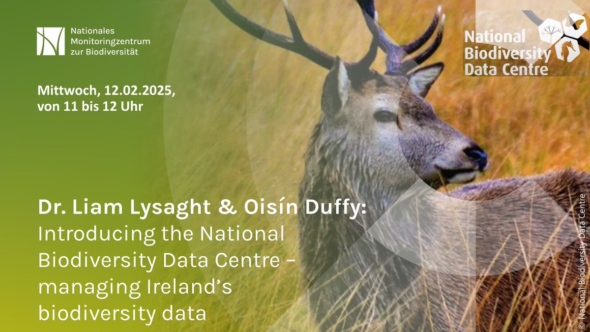 The next online live presentation of the National Monitoring Centre for Biodiversity on Wednesday at 11 a.m. will introduce the role and work of the National Biodiversity Data Centre in Ireland. Register here: bfn-event.webex.com/webappng/sites…
@BMUV #data #ireland #onlinetalk #biodiversity