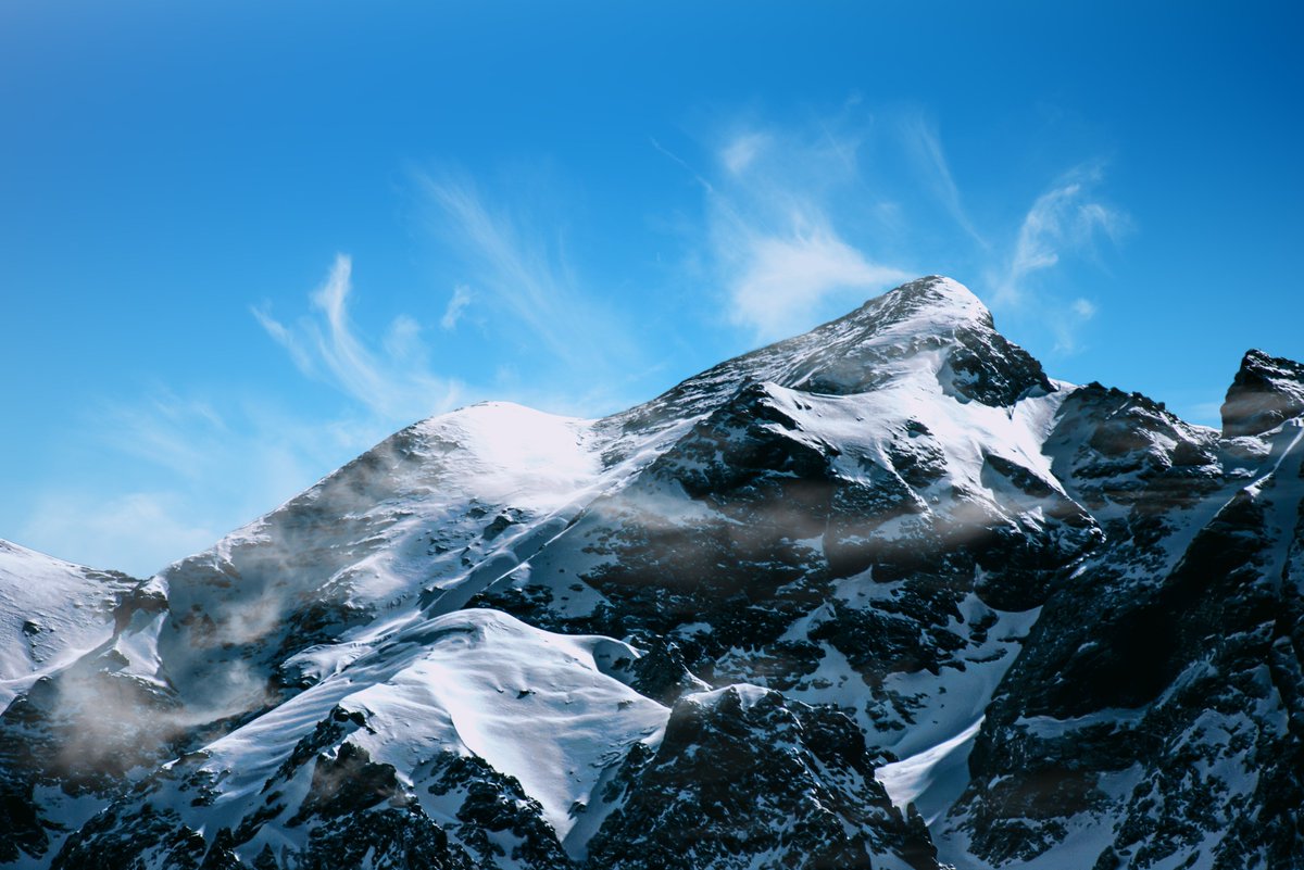 wlsw5050's tweet image. Herbal Treasure: Unveiling Natural Endurance - Boosting Secrets for High - Altitude Climbers.
#MedicinalMushrooms  #OEM  #functionalmushroom  #HerbalTreasure  #oemfactory