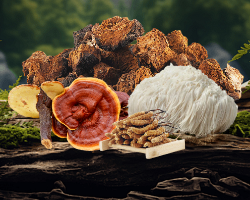 wlsw5050's tweet image. Herbal Treasure: Unveiling Natural Endurance - Boosting Secrets for High - Altitude Climbers.
#MedicinalMushrooms  #OEM  #functionalmushroom  #HerbalTreasure  #oemfactory