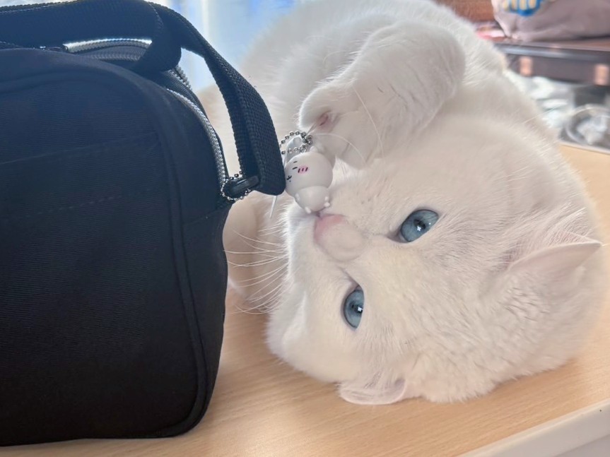 もんちゃん (@monchan_59) / Posts / X