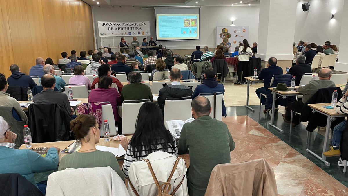 Asociación Malagueña de Apicultores (@mieldemalaga) on Twitter photo XXV Jornada Malagueña de Apicultura 🐝🐝
Continuamos aprendiendo de Vespa orientalis, fraude en miel, manejo nutricional de las colmenas y producción de miel 🍯🍯
Muchas gracias a las entidades, ponentes y apicultores que lo hacen posible <a href="/AgriculturAnd/">Consejería AgriPesca</a> <a href="/AytoAntequera/">Ayuntamiento de Antequera</a> XXV Jornada Malagueña de Apicultura 🐝🐝
Continuamos aprendiendo de Vespa orientalis, fraude en miel, manejo nutricional de las colmenas y producción de miel 🍯🍯
Muchas gracias a las entidades, ponentes y apicultores que lo hacen posible <a href="/AgriculturAnd/">Consejería AgriPesca</a> <a href="/AytoAntequera/">Ayuntamiento de Antequera</a>