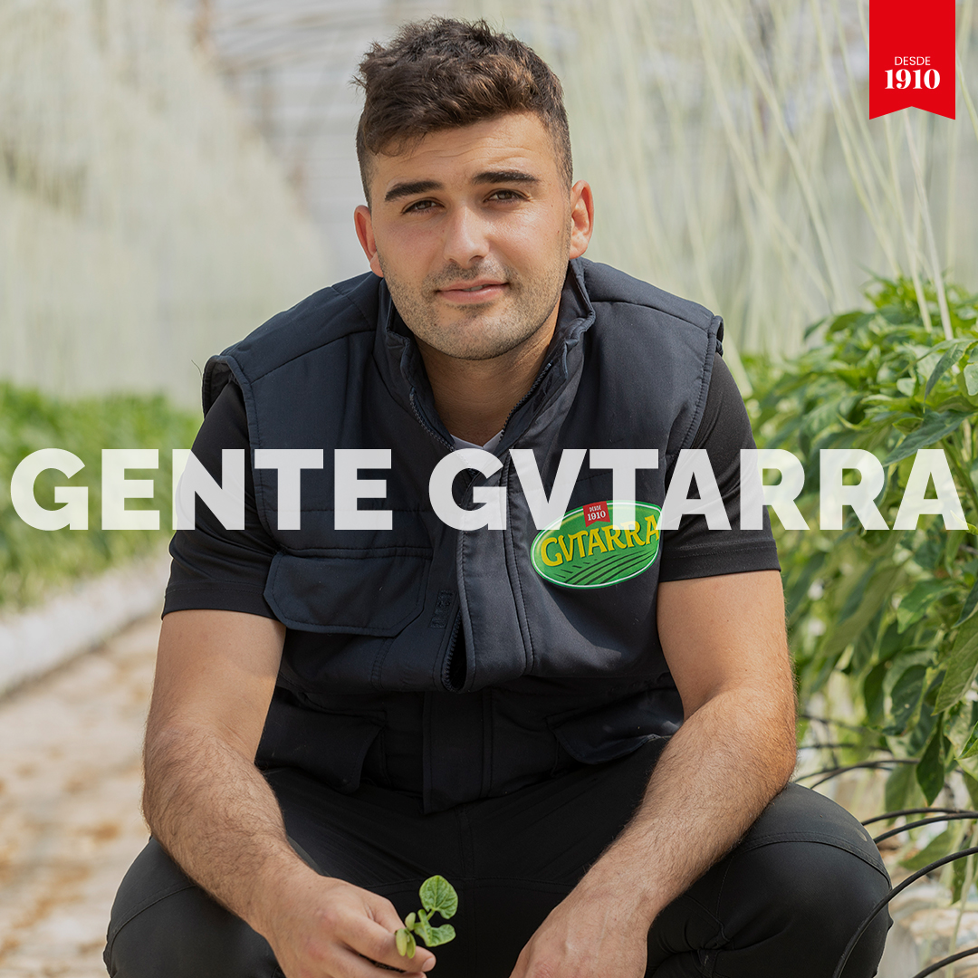 🌱 José Miguel Pascual, agricultor Gvtarra desde hace 6 años, cultiva con pasión verduras de calidad. Su plato estrella: cardo con jamón y bechamel. 

¡La mejor calidad empieza en el campo! 🧑‍🌾💚 

#Gvtarra #SaborYTradición