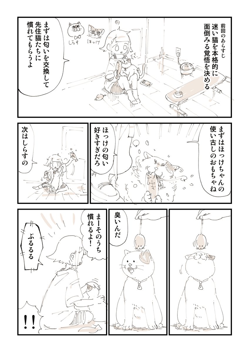 【閲覧注意】猫を拾って泣いてしまう話 4/13 