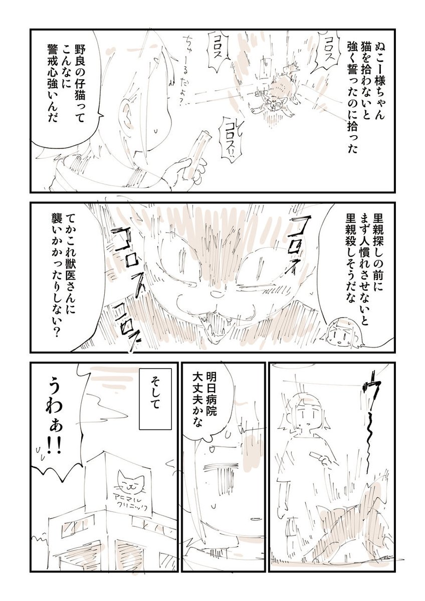 【閲覧注意】猫を拾って泣いてしまう話 8/13 