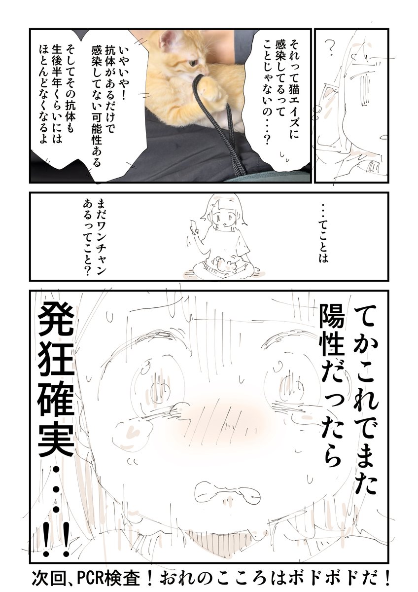 【閲覧注意】猫を拾って泣いてしまう話 11/13 
