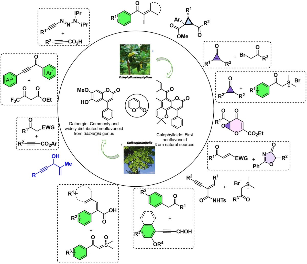 @Gs Research Group IITH (@gschemlab) on Twitter photo Look out for our recent Review article entitled "2H‐Pyran‐2‐ones’ Synthesis: State‐of‐the‐Art Methods and Applications" published in <a href="/AsianJOrgChem/">AsianJOC</a>. Congrats to Dr. Ravi Kishore & Dr. <a href="/CbSreenivasulu/">Dr.Sreenivasulu Chinnabattigalla</a>. Thanks to <a href="/IITHyderabad/">IIT Hyderabad</a> <a href="/CHYIITH/">Department of Chemistry, IIT Hyderabad</a> aces.onlinelibrary.wiley.com/doi/abs/10.100… Look out for our recent Review article entitled "2H‐Pyran‐2‐ones’ Synthesis: State‐of‐the‐Art Methods and Applications" published in <a href="/AsianJOrgChem/">AsianJOC</a>. Congrats to Dr. Ravi Kishore & Dr. <a href="/CbSreenivasulu/">Dr.Sreenivasulu Chinnabattigalla</a>. Thanks to <a href="/IITHyderabad/">IIT Hyderabad</a> <a href="/CHYIITH/">Department of Chemistry, IIT Hyderabad</a> aces.onlinelibrary.wiley.com/doi/abs/10.100…