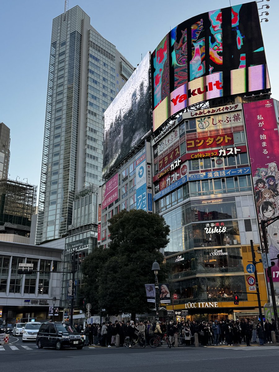 Dat moment dat je bijna naar huis gaat, en alles “voor de laatste keer ziet” 

Prachtige prachtige reis, echt life changing. Ik hou van dit land ❤️ 

Maar voordat de tranen komen gaan we eerst nog ramen eten en naar de Don Quijote om nog rommel te kopen!❤️