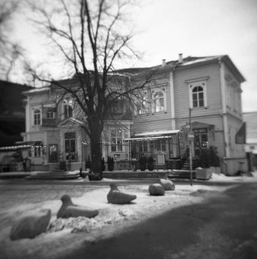 ALassetur's tweet image. ---------------------------------------------
It&apos;s Monday, and the day unfolded in peaceful stillness, with the rich aroma of fresh coffee mingling with the crisp winter air.

#PhotoNFT #lassetur #nfts #NFT #NFTCommunity #NFTCollection #NFTfam #art #NFTart #nftarti̇st…