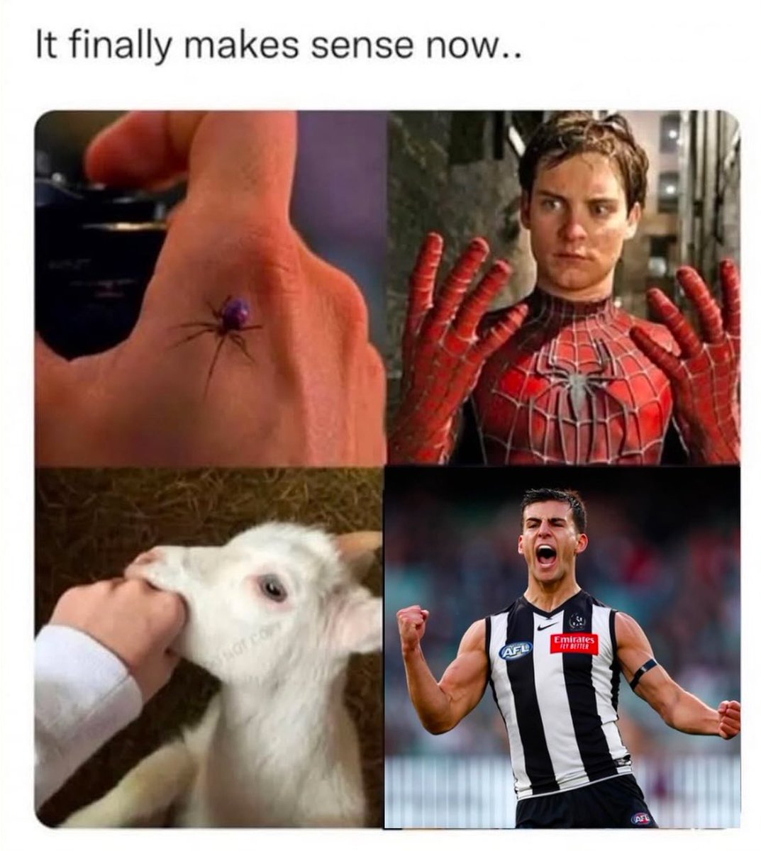 daicos_nick's tweet photo. That explains it ….. 🤔 ✅ #nickdaicos #afl #collingwoodfc #gopies https://t.co/TQo3fzq4EY