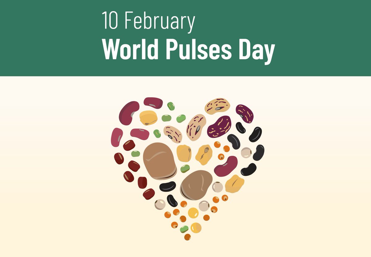World Pulses Day highlights the incredible nutritional, environmental, and economic benefits of pulses. These powerhouses support sustainable agriculture, contribute to global food security, and are a great choice for home gardeners and cooks alike
#WorldPulsesDay #GIY