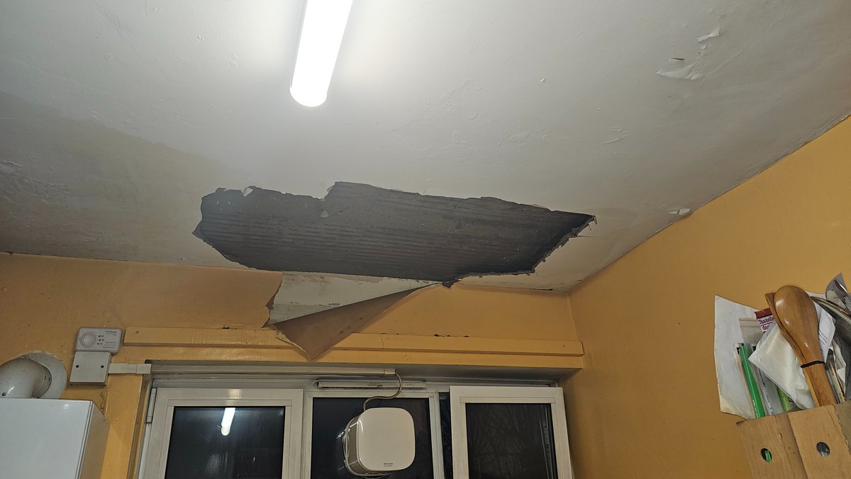 TheSaloneGirl tweet media