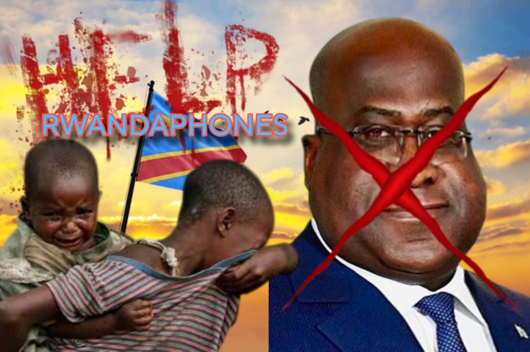 B LIKE PRO tweet media