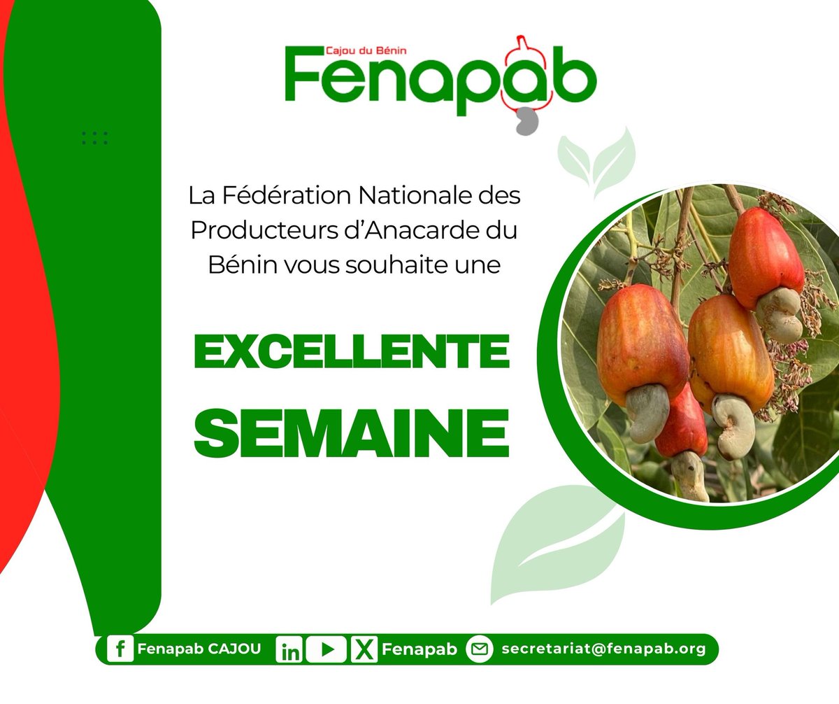 Fenapab2022's tweet image. La FENAPAB vous souhaite une excellente semaine en cette période cruciale de récolte, symbole de l’aboutissement de nos efforts collectifs. Que cette étape clé soit couronnée de succès, avec des récoltes abondantes.

#Fenapab #BonneSemaine #anacarde #Cajou