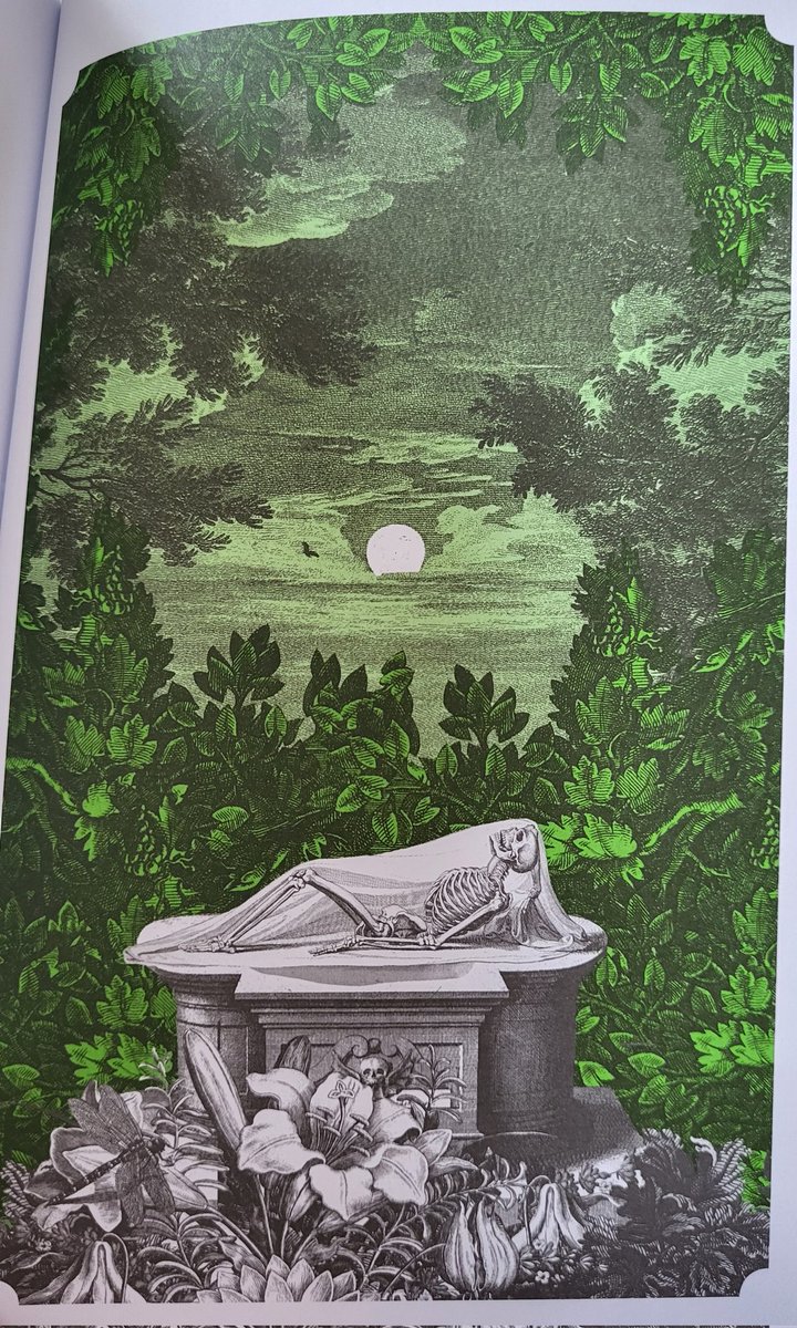 «Sí, el miedo a la vejez y la muerte a veces repta frío por mi corazón y, cuanto más vivo, más temo la muerte. Este es el enigma del hombre —nacido para morir— cuando se enfrenta, como yo, a las leyes de la naturaleza».

– El mortal inmortal, Mary Shelley 🐦‍⬛