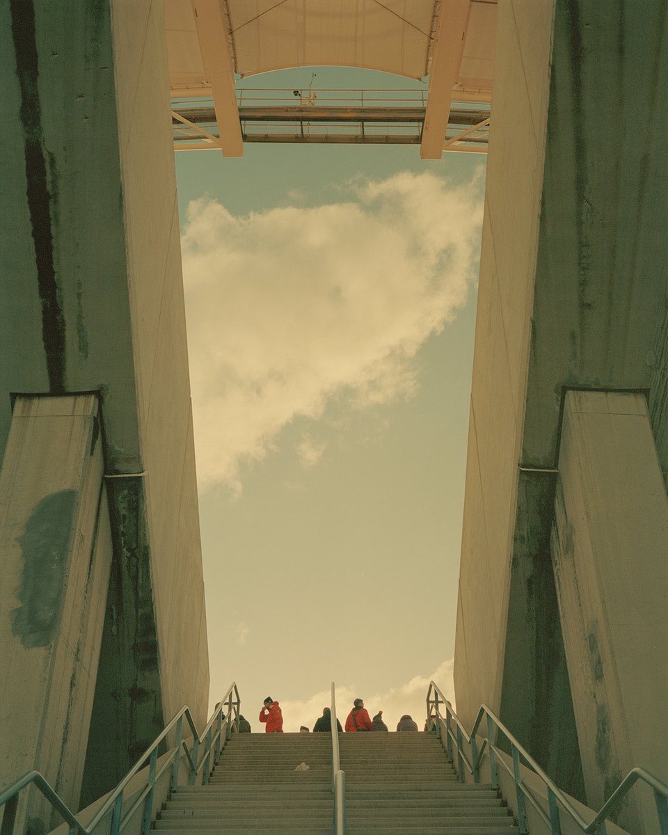 andershviid tweet media