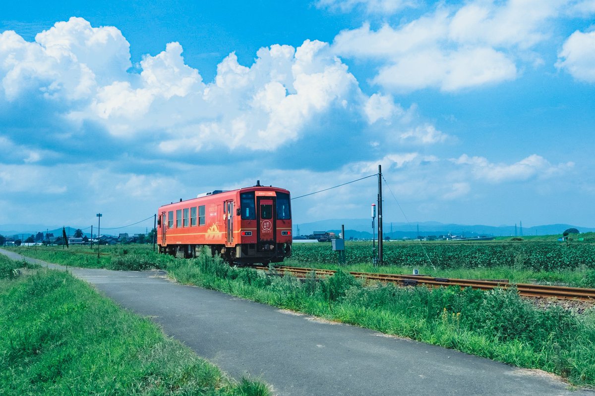 photo_okina's tweet image. 田舎は好きですか？