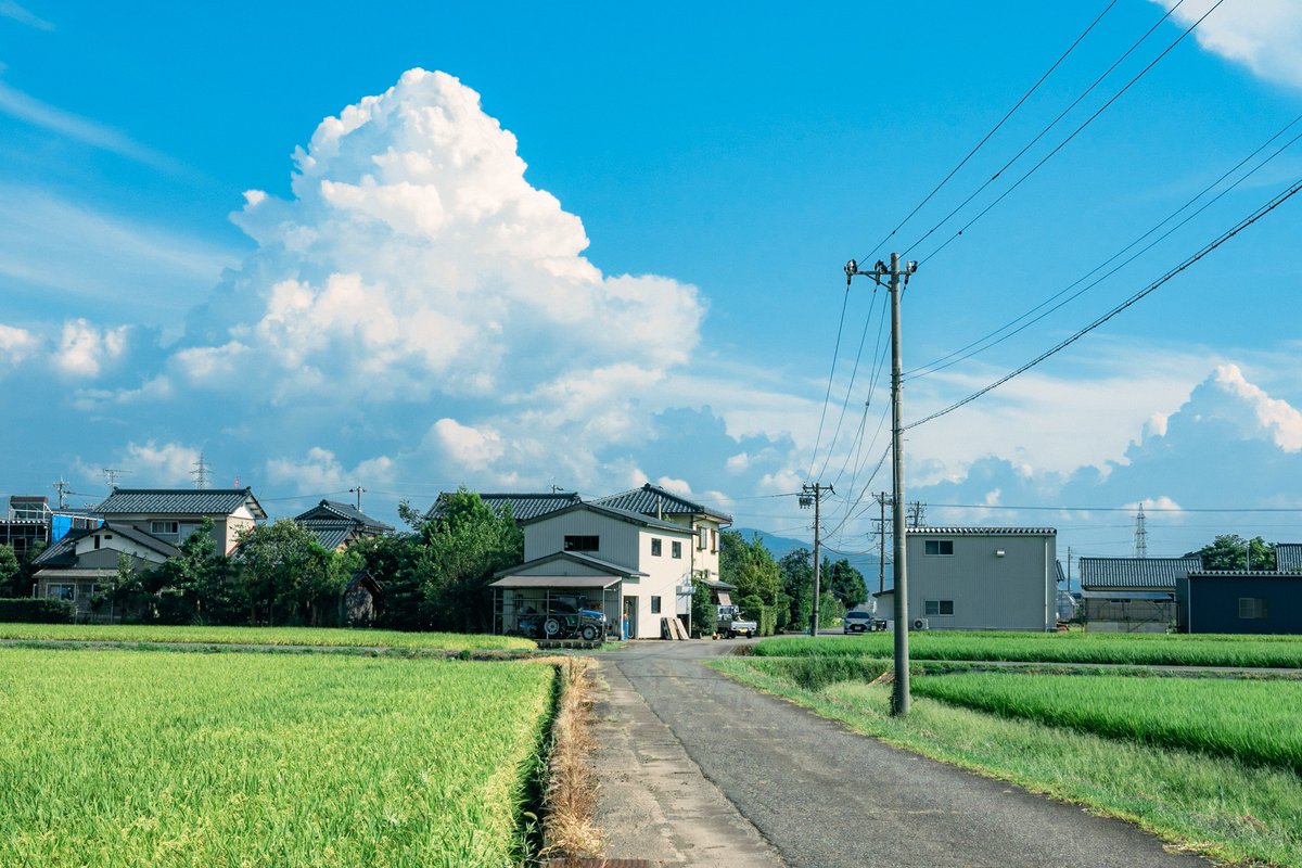 photo_okina's tweet image. 田舎は好きですか？