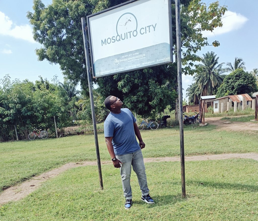 Issa Mshani (@issamshani1) on Twitter photo Back to the familiar buzz at Mosquito City, <a href="/ifakarahealth/">Ifakara Health Institute</a>! After gaining valuable skills in Computational Epidemiology at <a href="/UofGSBOHVM/">UofG SBOHVM</a>, I am excited to combine field epidemiology, parasite & vector biology, and AI-driven approaches for advancing mosquito-borne disease control. Back to the familiar buzz at Mosquito City, <a href="/ifakarahealth/">Ifakara Health Institute</a>! After gaining valuable skills in Computational Epidemiology at <a href="/UofGSBOHVM/">UofG SBOHVM</a>, I am excited to combine field epidemiology, parasite & vector biology, and AI-driven approaches for advancing mosquito-borne disease control.
