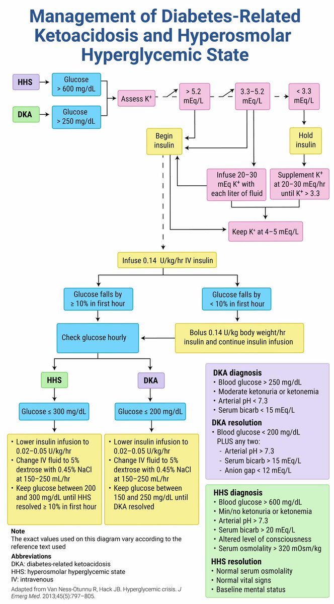 arfj22's tweet photo. Simple Approach for DKA management🪼 https://t.co/g42RKA8SnA