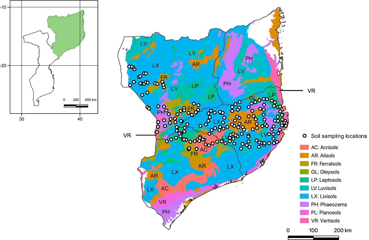 New in Geoderma Regional: "Management strategies for regenerative agriculture based on the assessment of soil fertility in northern Mozambique" by H Nasukawa, R Tajima, MCF Pereira, JA Pedro, S Nakamura, M Fukuda, J Koide, T Oya, K Homma.
buff.ly/4hNFeiv