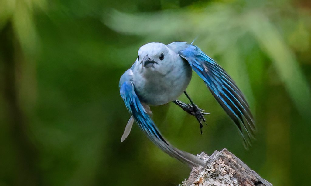 Gary Ladner tweet media