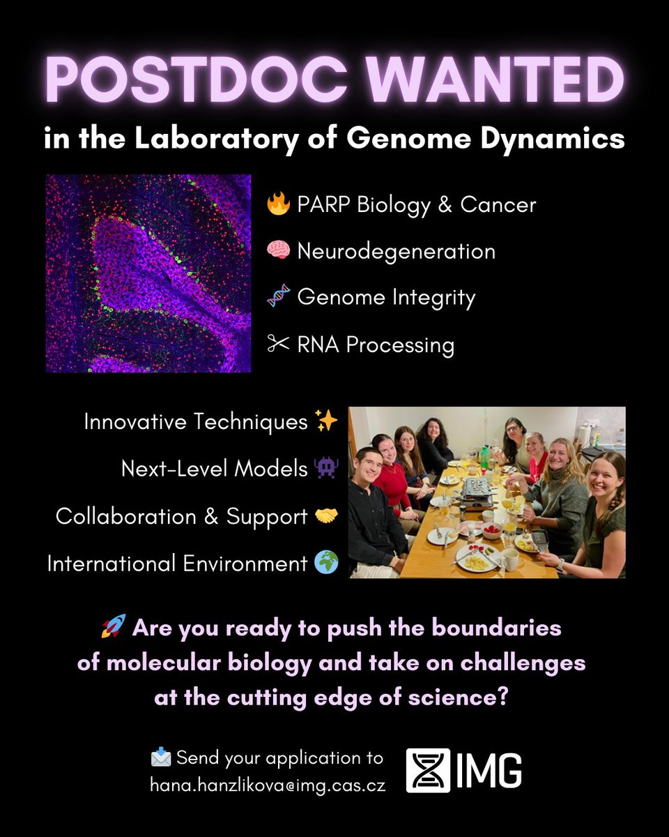❗WE ARE HIRING - POSTDOC WANTED in the Laboratory of Genome Dynamics <a href="/HanaHanzlikova/">Hana Hanzlikova</a>
👉img.cas.cz/group/hana-han…

Join a dynamic, international, and multidisciplinary team with an open-door policy for idea exchange, experimental troubleshooting, and shared success.