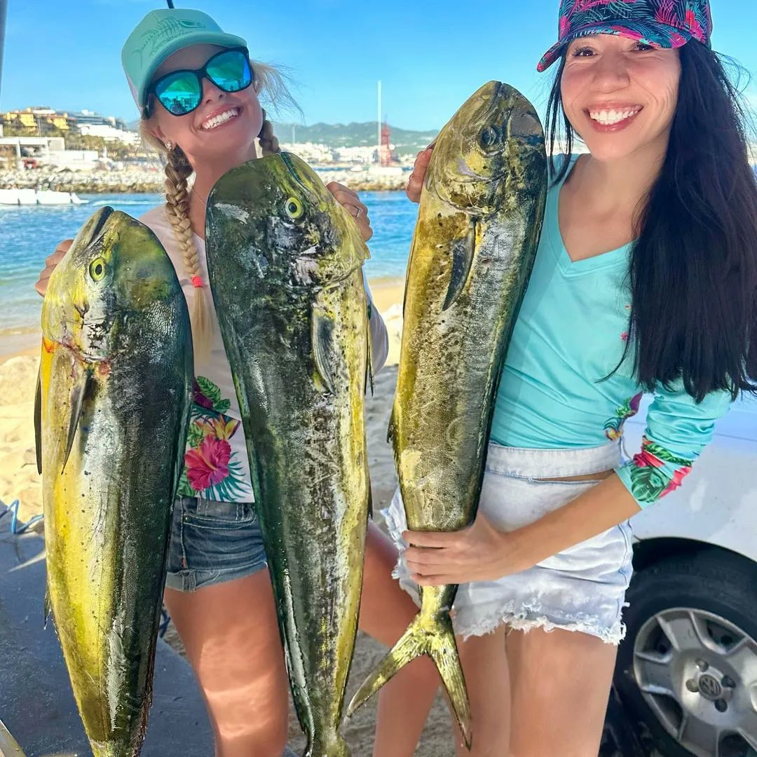 FishingClub19's tweet photo. Hi https://t.co/yqh1M2mfp7