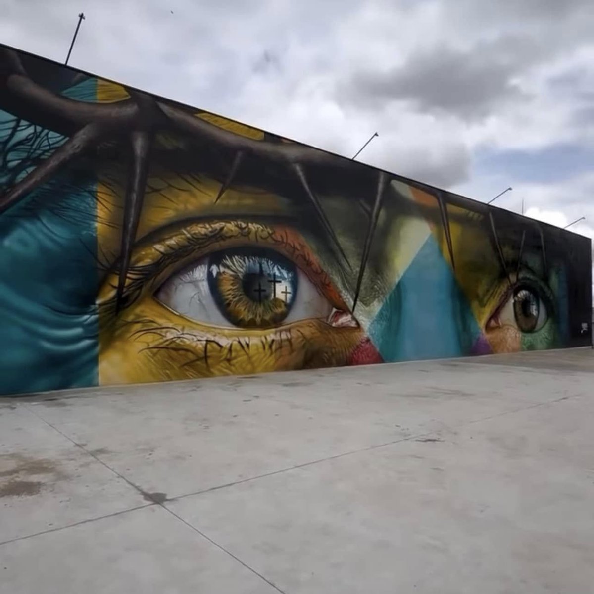 👽 Harry Cow 👽 tweet media