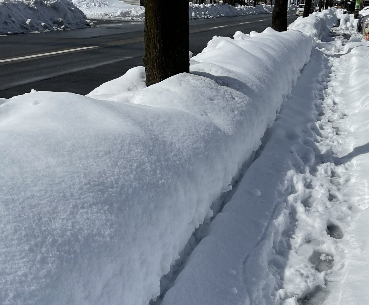 maemukidayon's tweet image. 除雪車が通る度歩道に雪が溜まってく☃️❄️ここしばらく雪かきで1日が終わる💦もう雪いらんわ🌨️
大雪になる前に洋食屋さんで昼飲み🍺
キャベツが高くてカット野菜も売り切れ、肉も野菜も冷凍食品も高くて厳しい〜😥