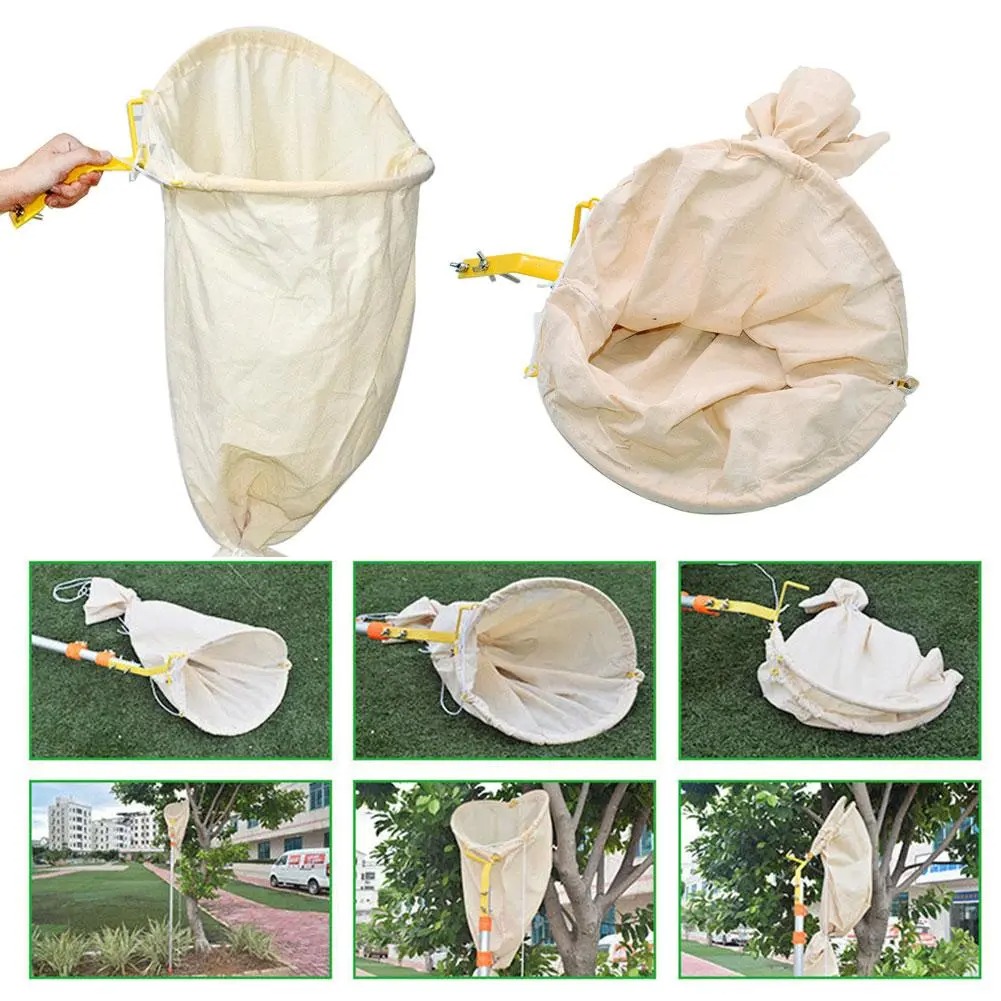 beesforest1's tweet photo. Telescopic Swarm Catcher:  Safe &amp; Durable 🍯

🛡️ Catch Safely: Secure bees with zero harm. 🔩 Solid Steel: Built to last with an escape-proof net!
1 pc: $40.95 (including shipping!)

2 pcs: $58.95 (Save 28% on the second piece!)
#beekeeping
👉 Shop Now: https://t.co/WZY2bALrhh https://t.co/Dii7hwfrQ6