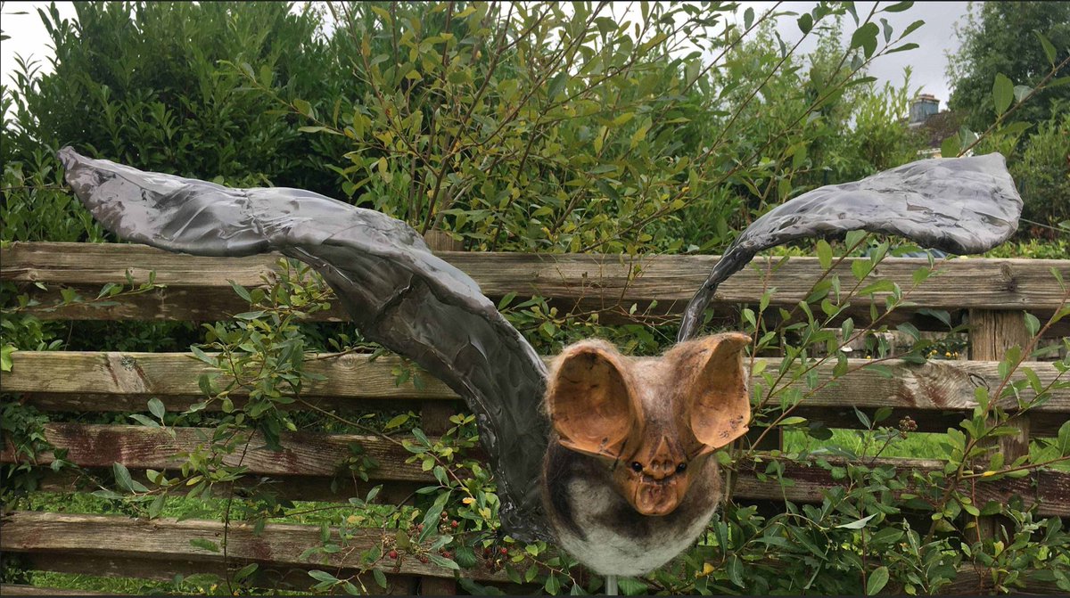 Kerry Biosphere Reserve tweet media