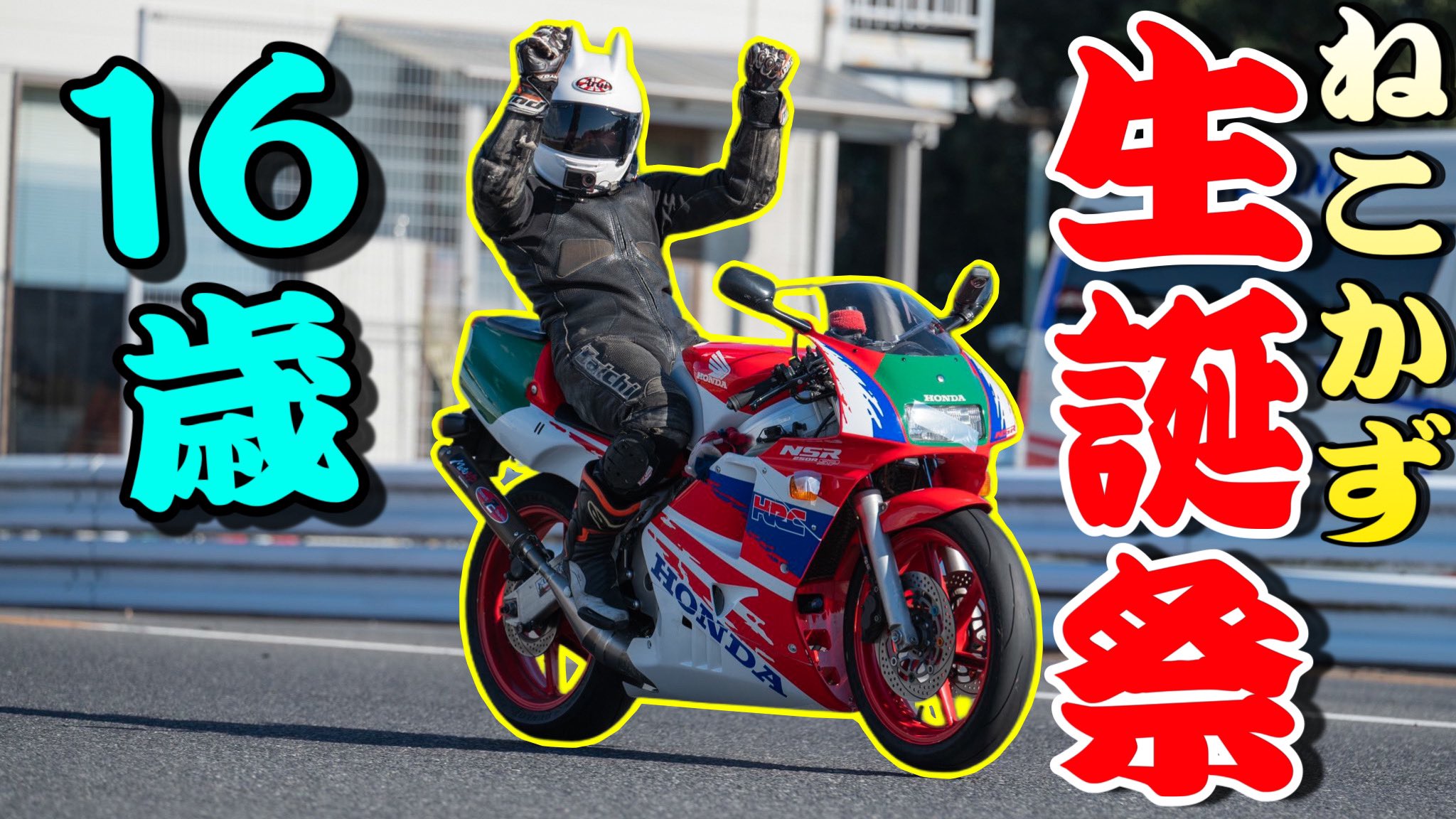 ねこかず on X: 